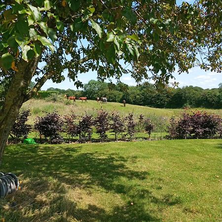 Apartament Suzies Self Catering Belmont Belmont  Pokój zdjęcie